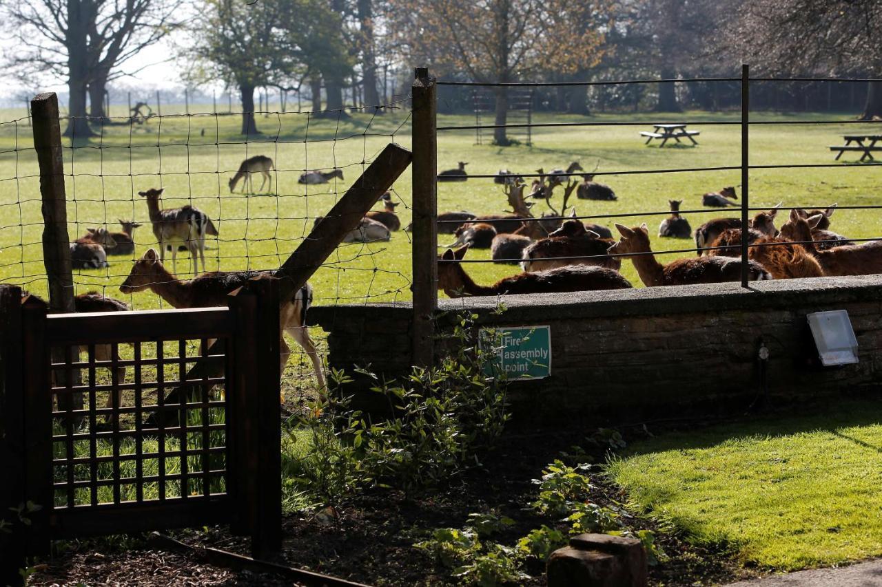 Whitworth Hall Hotel & Deer Park - Durham Spennymoor Kültér fotó