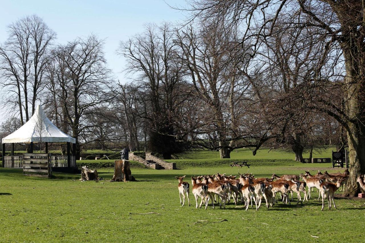 Whitworth Hall Hotel & Deer Park - Durham Spennymoor Kültér fotó